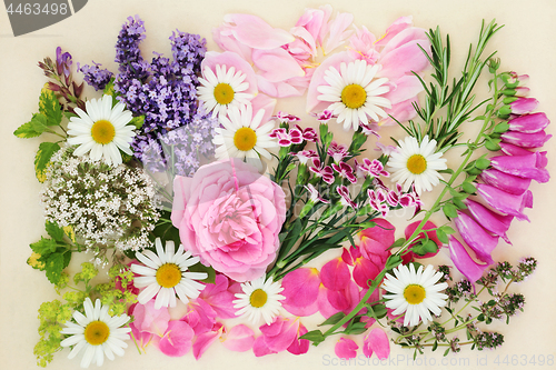 Image of Flowers and Herbs for Herbal Medicine