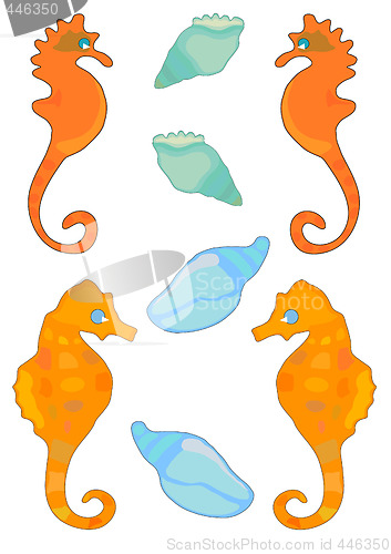 Image of Shells and SeaHorses