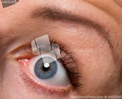 Image of Face woman with eyes and eyelashes