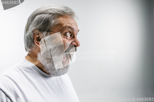 Image of The senior emotional angry man screaming on white studio background
