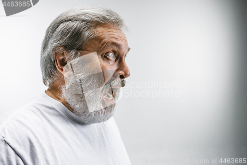 Image of The senior emotional angry man screaming on white studio background