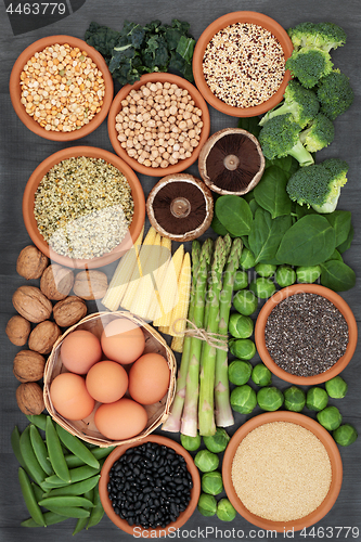 Image of Healthy High Protein Food Selection