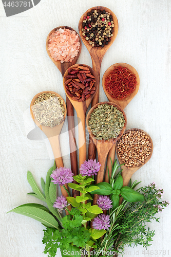 Image of Fresh and Dried Herbs and Spices