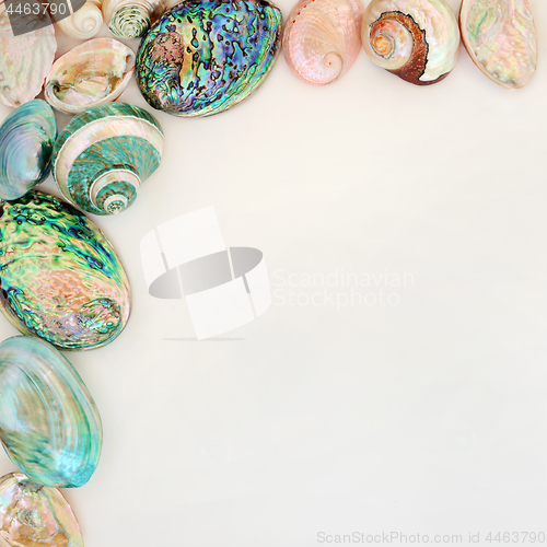 Image of Seashell Background Border