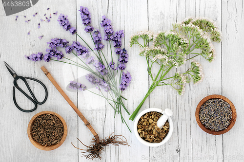 Image of Lavender Chamomile and Valerian Herbal Medicine