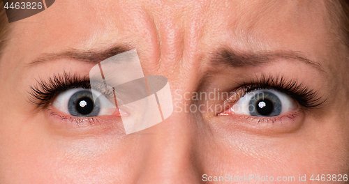 Image of Face woman with eyes and eyelashes