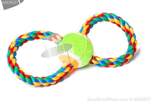 Image of Dog toy on white