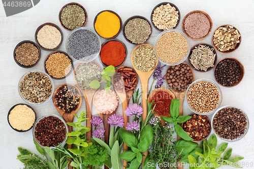 Image of Herbs and Spices