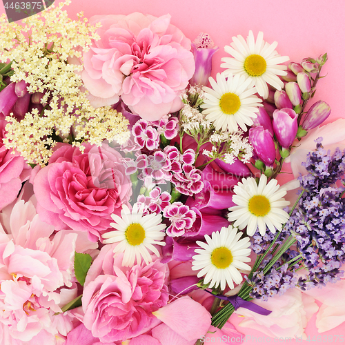 Image of Flowers and Herbs of Summer 