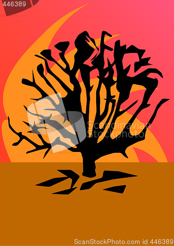 Image of Tree Sunset