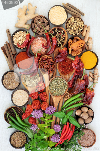 Image of Herb and Spice Seasoning  