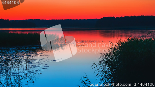 Image of Night Lake With Reeds After Red Sunset