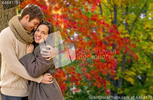 Image of smiling couple hugging in autumn park