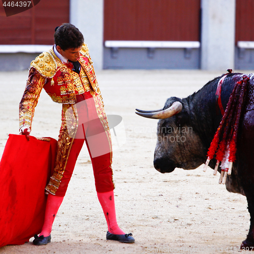 Image of Traditional corrida - bullfighting in spain