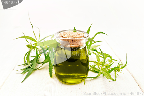 Image of Oil hemp in jar with sheet on light board