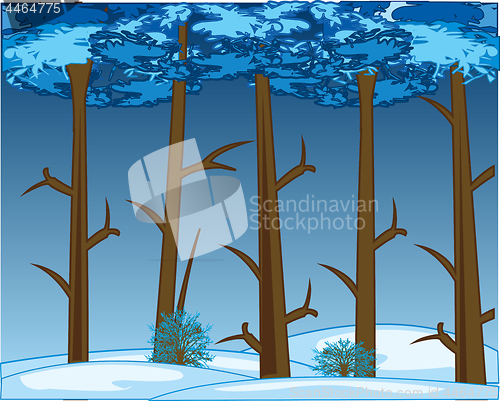 Image of Thick winter wood and snow snowdrifts.Vector illustration