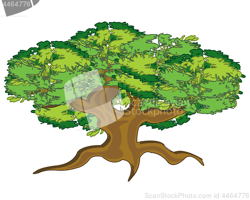 Image of Vector illustration big and curly tree summer