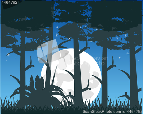 Image of Vector illustration to moon night in dark wood