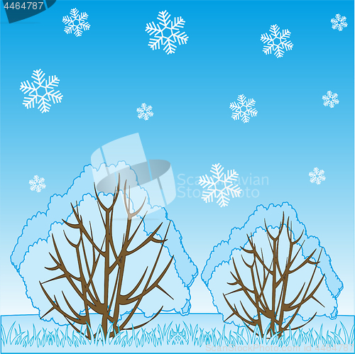 Image of Winter landscape of the nature and falling snowflake