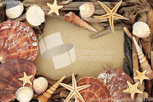 Image of Seashell and Driftwood Abstract Background 