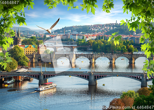 Image of Bridges in a row