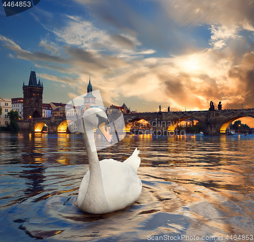 Image of Swan and fiery sunset