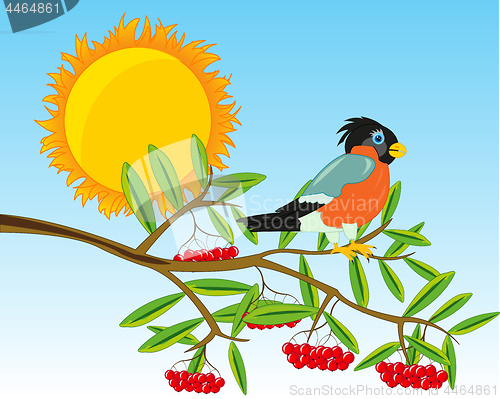 Image of Branch of rowanberry with ripe berry.Vector illustration