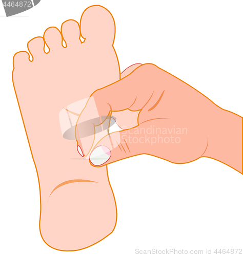 Image of Vector illustration of the medical massage of the foot of the person
