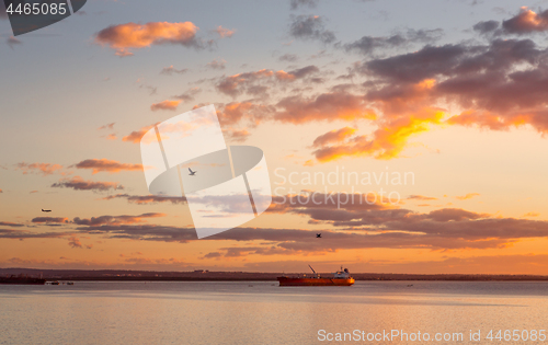 Image of Cargo ships in Botany Bay at sunset