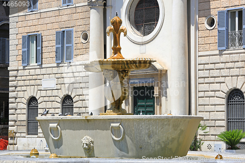 Image of Fountain Piazza Farneze