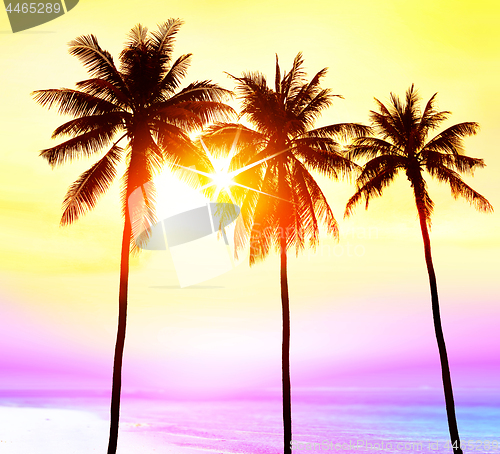 Image of paradise with palms at sunset 