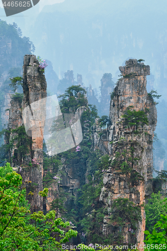 Image of Zhangjiajie mountains, China