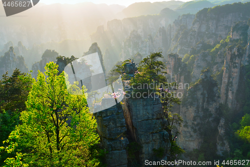 Image of Zhangjiajie mountains, China