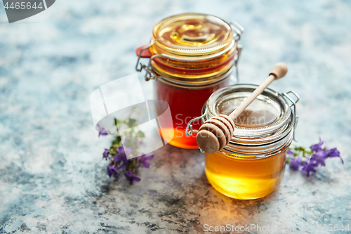 Image of Jars with different kinds of fresh organic honey