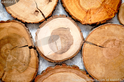 Image of Aged, cracked, wooden, circular tree section with rings