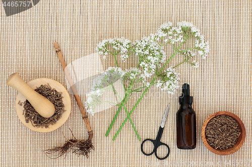 Image of Valerian Herbal Medicine