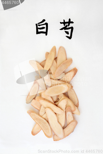 Image of White Peony Root Herb