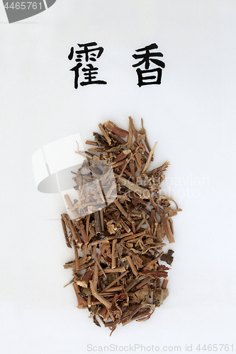 Image of Korean Mint Herb