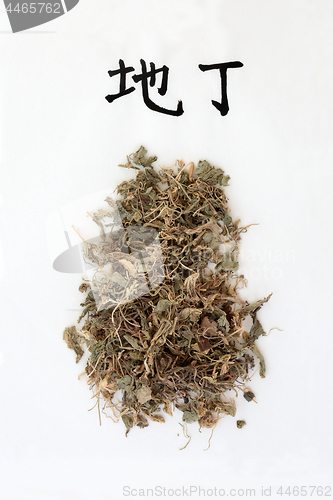 Image of Chinese Gentian Herb