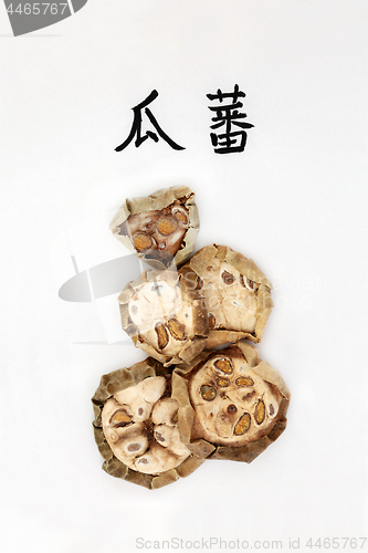 Image of Chinese Cucumber Herb