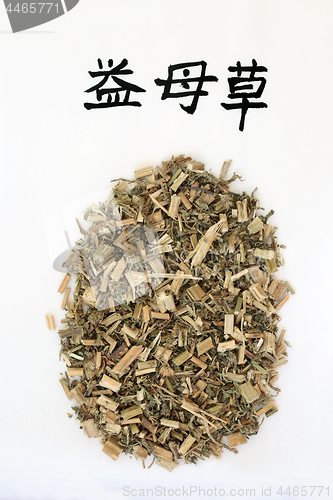 Image of Chinese Motherwort Herb