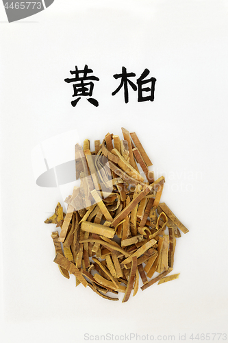 Image of Chinese Amur Cork Tree Bark Herb