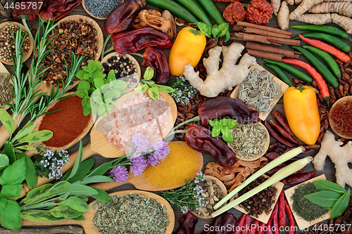 Image of Herb and Spice Seasoning Selection