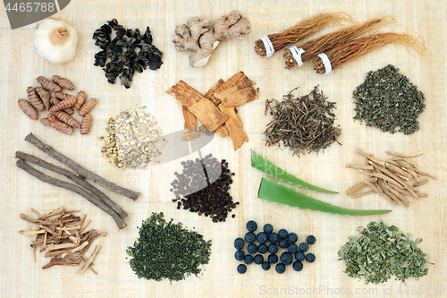 Image of Adaptogen Herb Spice and Berry Fruit