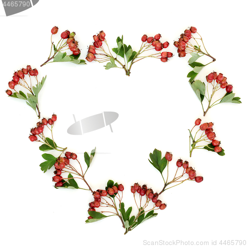 Image of Heart Shaped Hawthorn Berry Wreath