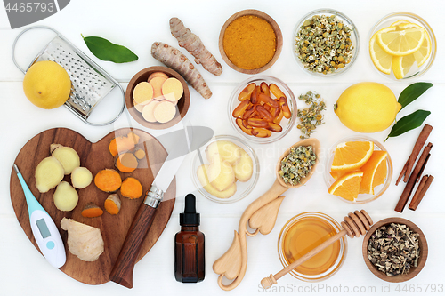 Image of Cold and Flu Remedy Ingredients