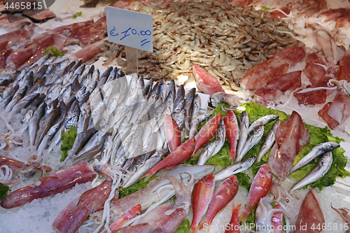 Image of Fish Market