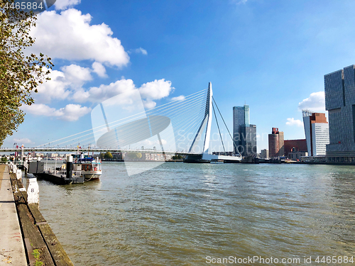 Image of panoramic view of Rotterdam