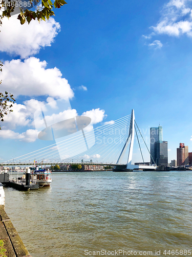 Image of panoramic view of Rotterdam