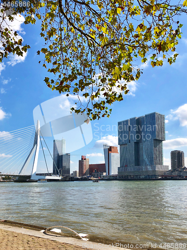 Image of panoramic view of Rotterdam